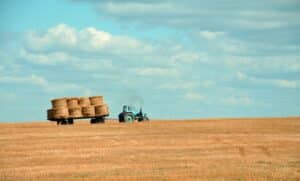 harvest
