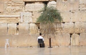 פרשת צו